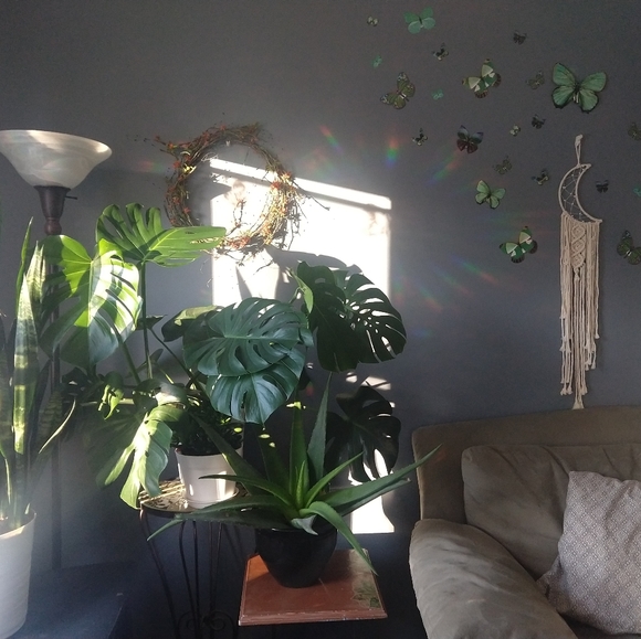 Meet your Posher, Carrie - Picture 10 of 16